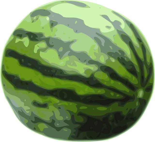 Free download Watermelon Fruit Green - Free vector graphic on Pixabay free illustration to be edited with GIMP free online image editor