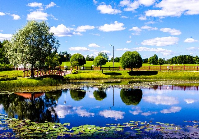 Descărcare gratuită Water Mirror Mirroring - fotografie sau imagini gratuite pentru a fi editate cu editorul de imagini online GIMP