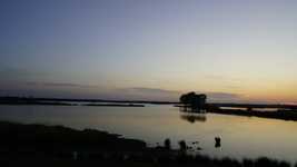 Free download Water Nature Reserve Trees -  free video to be edited with OpenShot online video editor