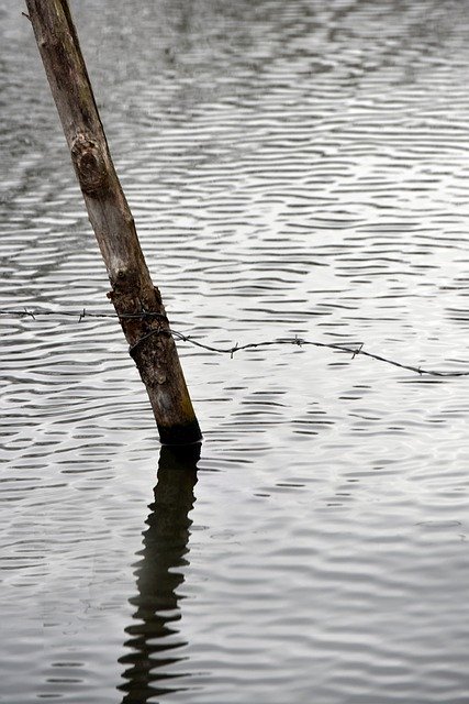 Muat turun percuma templat foto percuma Water Pond Nature untuk diedit dengan editor imej dalam talian GIMP