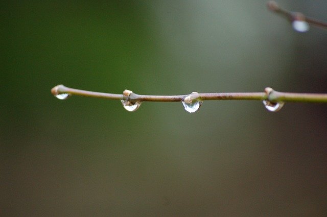 Téléchargement gratuit de Water Rain Wet - photo ou image gratuite à éditer avec l'éditeur d'images en ligne GIMP