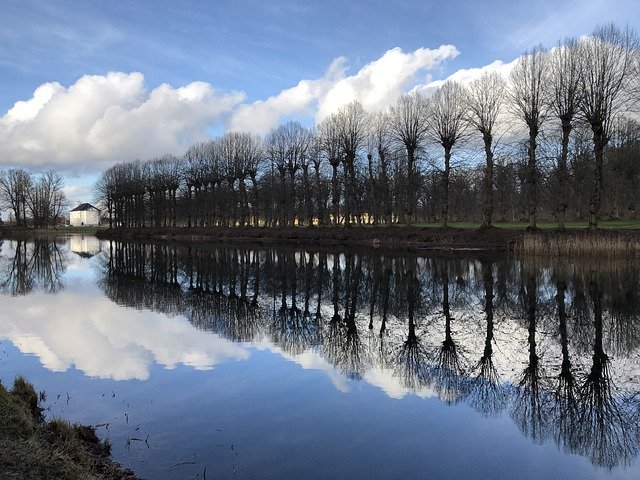 Безкоштовно завантажити Water Reflections Trees - безкоштовне фото або зображення для редагування в онлайн-редакторі зображень GIMP