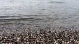 Free download Water Rhine Riverside -  free video to be edited with OpenShot online video editor