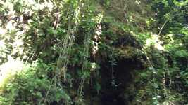 Free download Water River -  free video to be edited with OpenShot online video editor