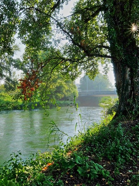 הורדה חינם Water River Environment - תמונה או תמונה בחינם לעריכה עם עורך התמונות המקוון GIMP