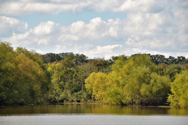 Descărcare gratuită Waterscape Landscape Trees - fotografie sau imagini gratuite pentru a fi editate cu editorul de imagini online GIMP