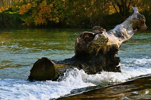 הורדה חינם Water Stump Waterfall - תמונה או תמונה בחינם לעריכה עם עורך התמונות המקוון של GIMP