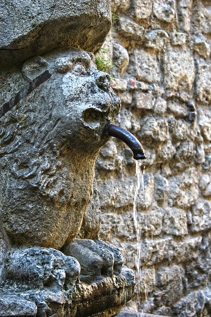 Téléchargement gratuit de Water Thirst Fresh - photo ou image gratuite à modifier avec l'éditeur d'images en ligne GIMP