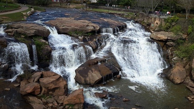 Download gratuito Water Tree Nature - foto o immagine gratuita da modificare con l'editor di immagini online di GIMP