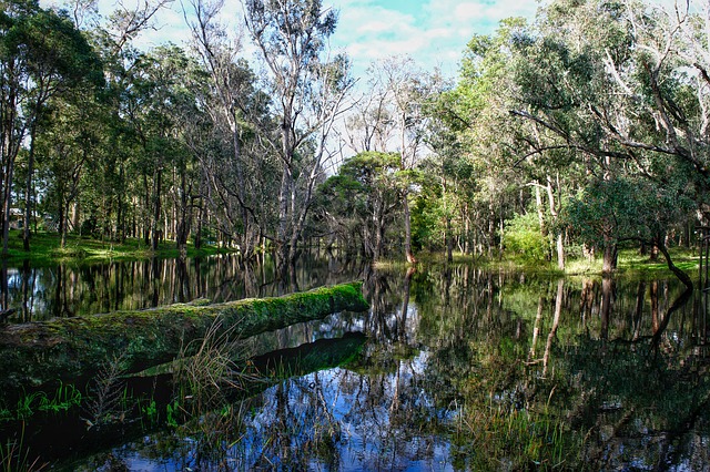 Free download water trees nature landscape sky free picture to be edited with GIMP free online image editor