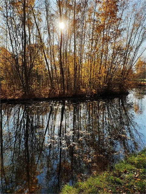 Скачать бесплатно Water Trees Sun - бесплатное фото или изображение для редактирования с помощью онлайн-редактора изображений GIMP