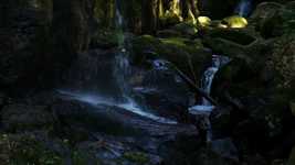 Free download Water Waterfall Black Forest Close -  free video to be edited with OpenShot online video editor