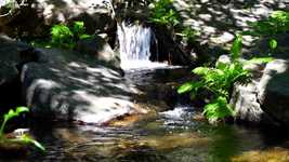 Free download Water Waterfall Stream -  free video to be edited with OpenShot online video editor