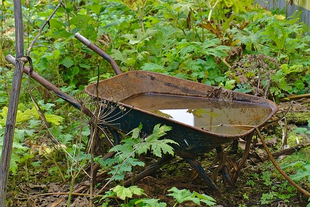 Free download Water Wheelbarrow Gardening -  free photo or picture to be edited with GIMP online image editor
