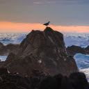 Waves and Rocks  screen for extension Chrome web store in OffiDocs Chromium