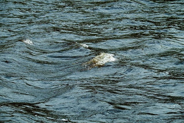 Free download wave water surface river nature free picture to be edited with GIMP free online image editor