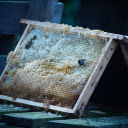 Wax and honey  screen for extension Chrome web store in OffiDocs Chromium