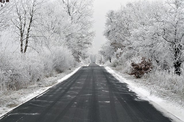 Kostenloser Download von Weg, Frost, Winter, Schnee, kalten Bäumen, kostenlosem Bild zur Bearbeitung mit dem kostenlosen Online-Bildeditor GIMP