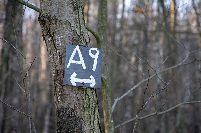 Free download waymarking a 9 trail path hike free picture to be edited with GIMP free online image editor