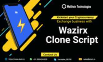 Free download Wazirx Clone Script free photo or picture to be edited with GIMP online image editor