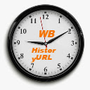 WB History URLs  screen for extension Chrome web store in OffiDocs Chromium