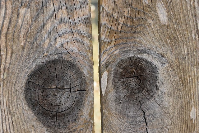 Free download weathered wood wooden fence free picture to be edited with GIMP free online image editor