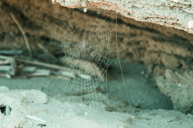 Muat turun percuma templat foto percuma Web Beach Sea untuk diedit dengan editor imej dalam talian GIMP