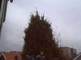 Free download Webcam 2006-11-21 free photo or picture to be edited with GIMP online image editor