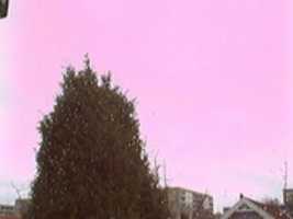 Free download Webcam 2006-11-24 free photo or picture to be edited with GIMP online image editor