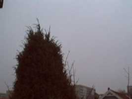 Free download Webcam 2006-11-28 free photo or picture to be edited with GIMP online image editor