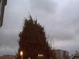 Free download Webcam 2006-12-26 free photo or picture to be edited with GIMP online image editor