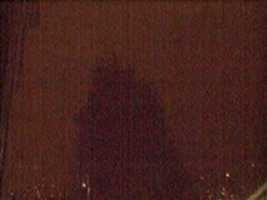 Free download Webcam 2007-01-08 free photo or picture to be edited with GIMP online image editor