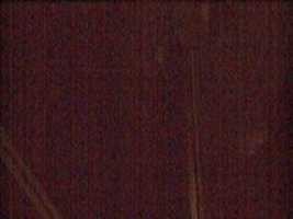 Free download Webcam 2007-01-10 free photo or picture to be edited with GIMP online image editor