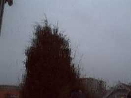 Free download Webcam 2007-01-11 free photo or picture to be edited with GIMP online image editor