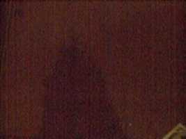 Free download Webcam 2007-02-20 free photo or picture to be edited with GIMP online image editor