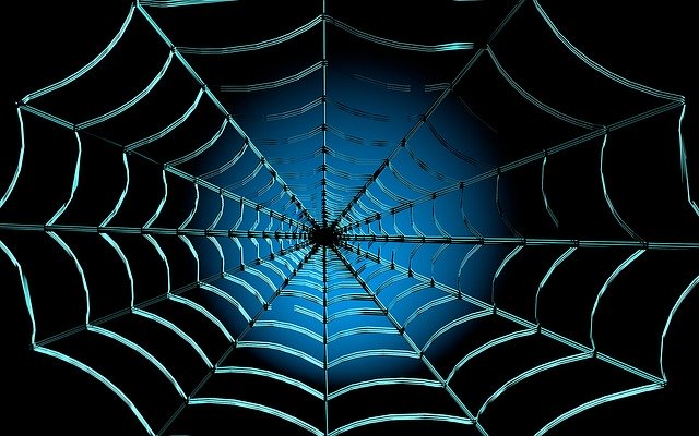 Muat turun percuma Web Cobweb Nature - foto atau gambar percuma untuk diedit dengan editor imej dalam talian GIMP