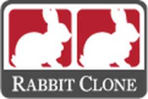 Free download Website Duplication, Cloning Services in San Diego, CA | Rabbit Clone free photo or picture to be edited with GIMP online image editor
