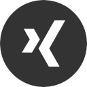 Website Manager  screen for extension Chrome web store in OffiDocs Chromium