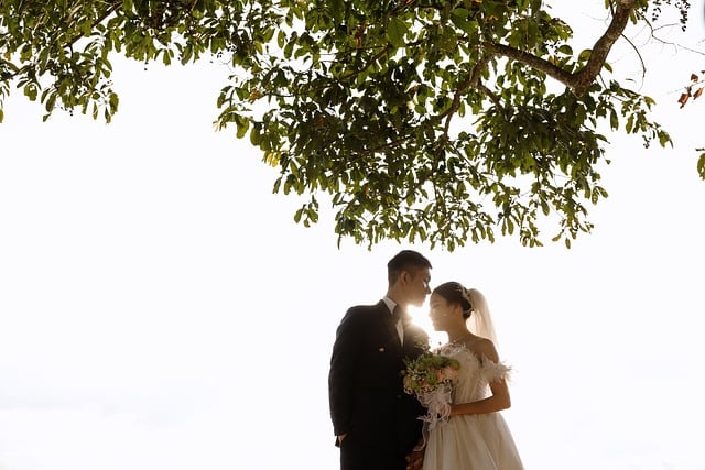 Free download wedding couple lovers bride groom free picture to be edited with GIMP free online image editor