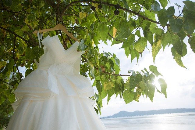 Free download Wedding Dresses Beach Tree The -  free free photo or picture to be edited with GIMP online image editor