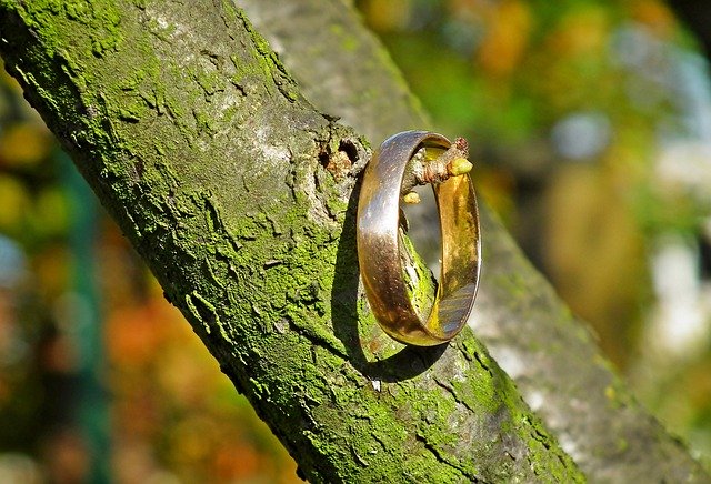 Бесплатно скачать Обручальное кольцо Золотое бракосочетание - бесплатное фото или изображение для редактирования с помощью онлайн-редактора GIMP