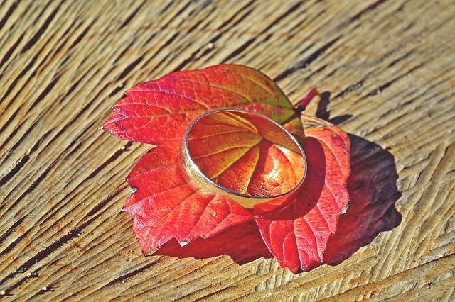 Free download Wedding Ring Leaf Red -  free photo or picture to be edited with GIMP online image editor