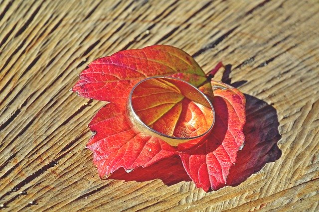 Libreng download Wedding Ring Leaf Red - libreng larawan o larawan na ie-edit gamit ang GIMP online na editor ng imahe