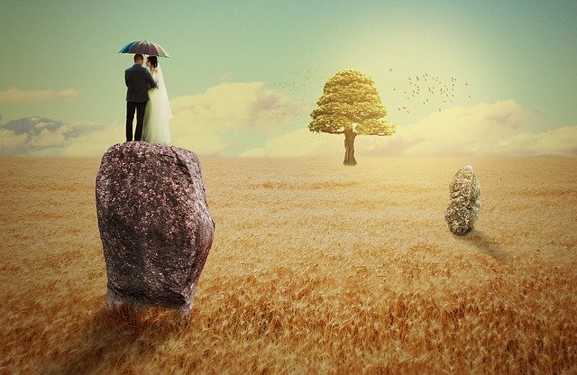 Free download Wedding Tree Field -  free photo or picture to be edited with GIMP online image editor