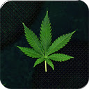 Weed 4K  screen for extension Chrome web store in OffiDocs Chromium