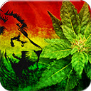 Weed Lions  screen for extension Chrome web store in OffiDocs Chromium