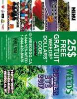 Free download Weeds Pamphlet free photo or picture to be edited with GIMP online image editor