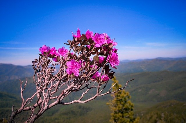 ดาวน์โหลดฟรี Weekend Travel Forest - ภาพถ่ายหรือรูปภาพฟรีที่จะแก้ไขด้วยโปรแกรมแก้ไขรูปภาพออนไลน์ GIMP