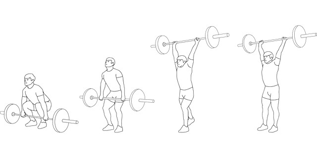 Free download Weightlifting Sports Muscle - Free vector graphic on Pixabay free illustration to be edited with GIMP free online image editor