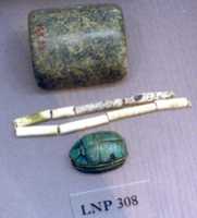 Free download Weight of 5? debans free photo or picture to be edited with GIMP online image editor